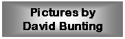 Text Box: Pictures byDavid Bunting